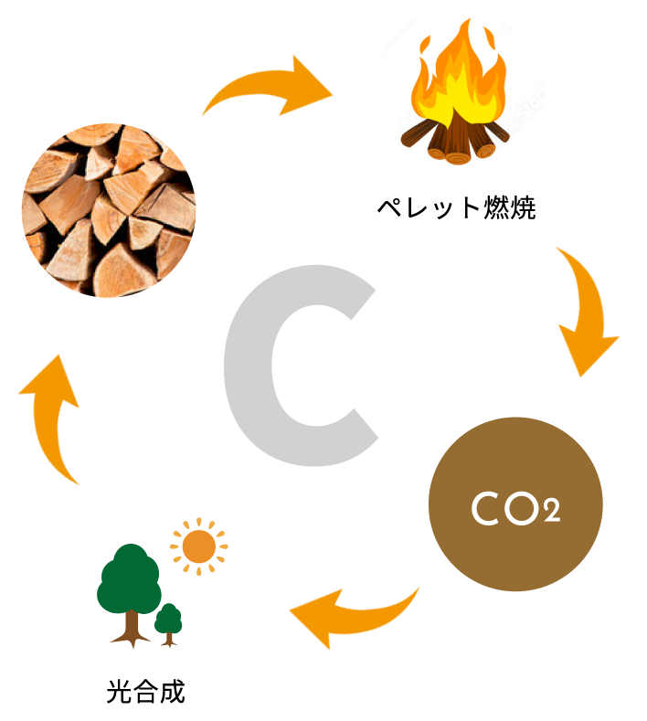 carboncycle.png